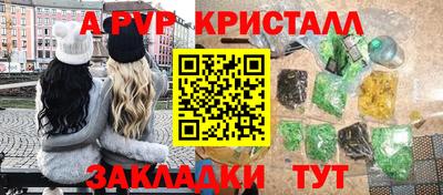 крисы Донской