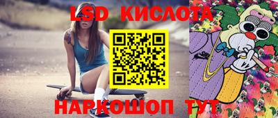 крисы Донской