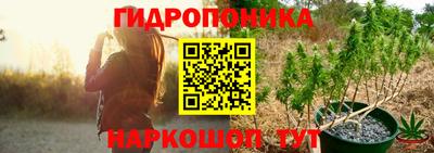 крисы Донской