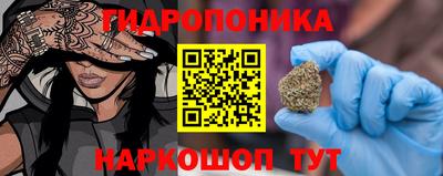 крисы Донской
