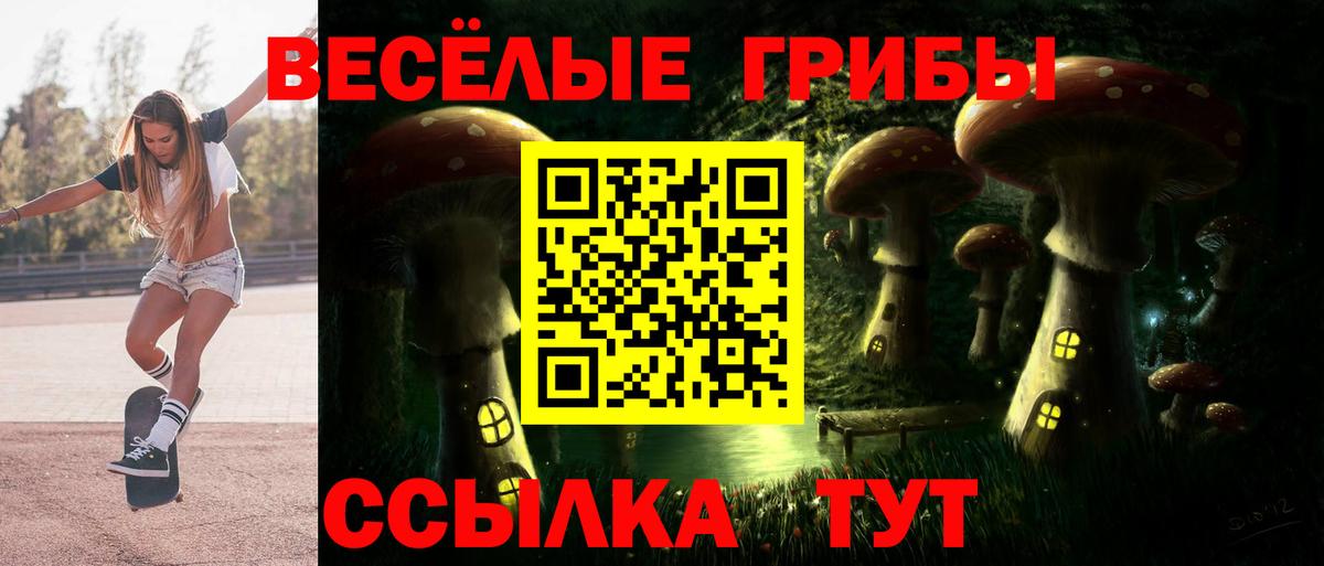 Павловский Посад  Псилоцибиновые грибы ЛСД  где купить наркоту  Вход с VPN  Псилоцибиновые грибы Cubensis 